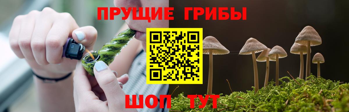 Псилоцибиновые грибы MAGIC MUSHROOMS  Псилоцибиновые грибы Psilocybe  Большой Камень  Вход с VPN 